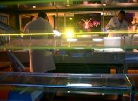 Click to watch 'Show Stopper' (popup) CSI Miami